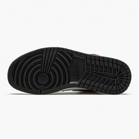 Nike Air Jordan 1 Retro High OG Light Smoke Grey W/M 555088-126