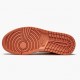 Nike Air Jordan 1 Mid Apricot Orange Apricot Agate Terra Blush W/M DH4270-800